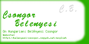 csongor belenyesi business card